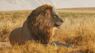 Lions
