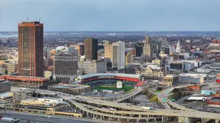 Buffalo