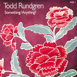 Something/Anything?