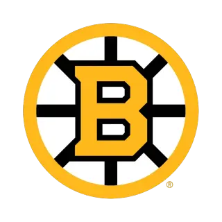 Boston Bruins