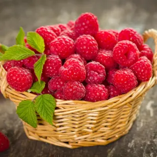 Raspberries