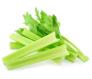 Celery