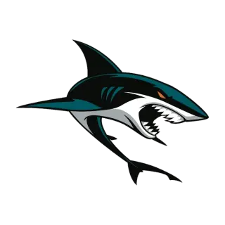San Jose Sharks