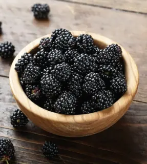 Blackberries