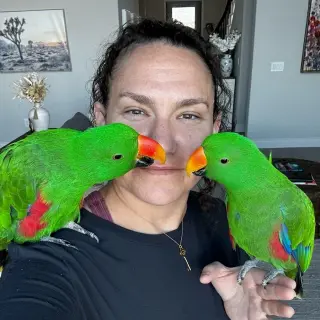 The Green Bird Brigade
