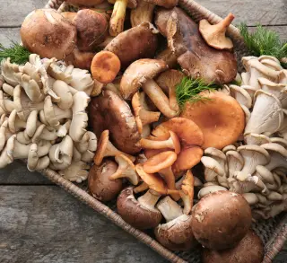 Mushrooms