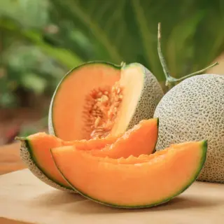 Cantaloupes