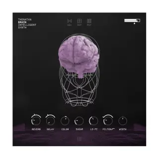 Thenatan Audio Brain