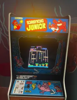 Donkey Kong Jr.