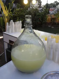 Grapefruit Juice