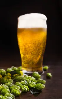 IPAs