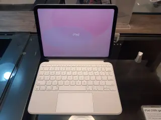 Apple iPad
